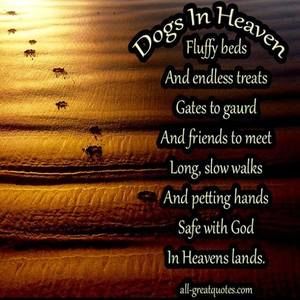 Meet your Posher, Melanie robert